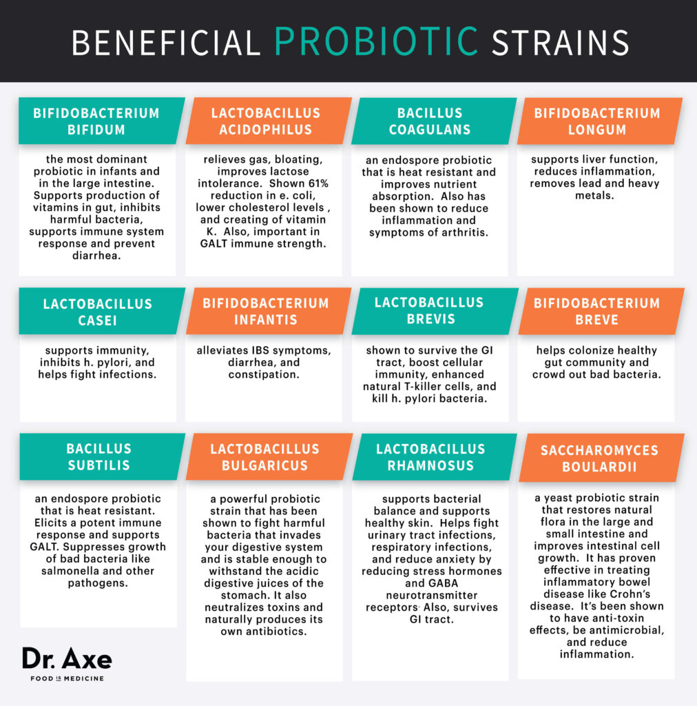 Probiotic Strains