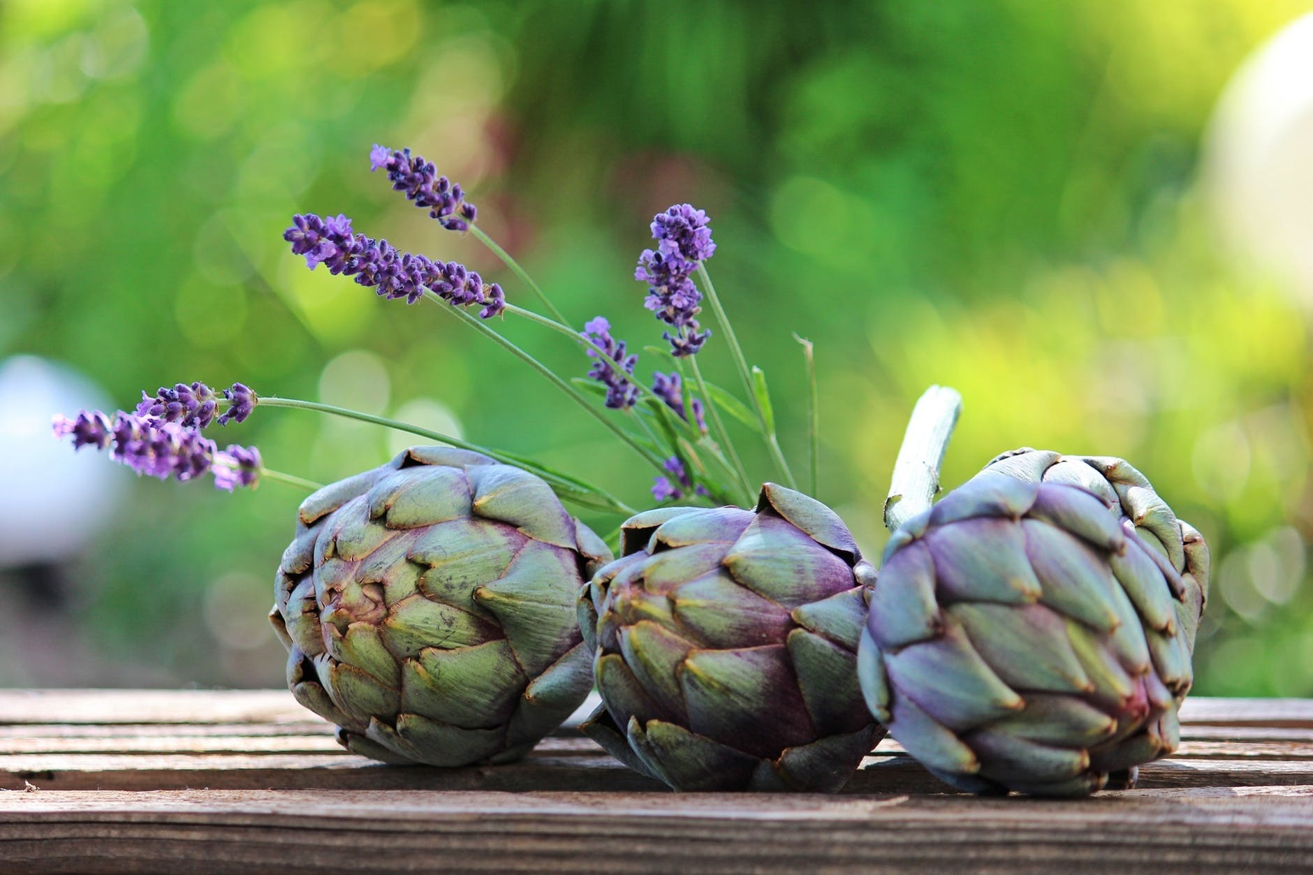 artichoke