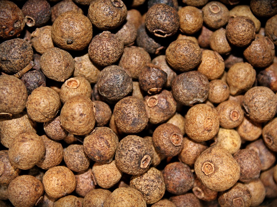 allspice