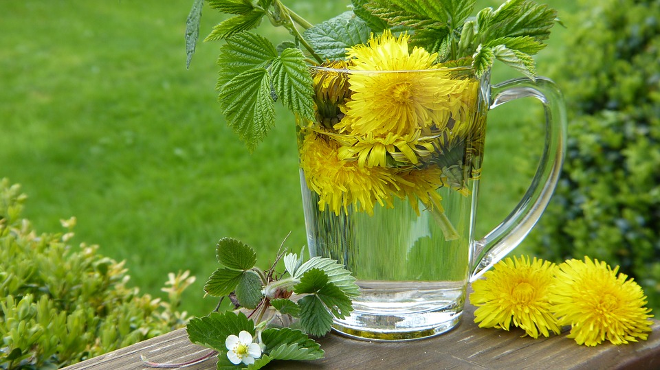 Dandelion Leaf