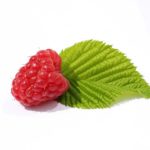 raspberry leaf2