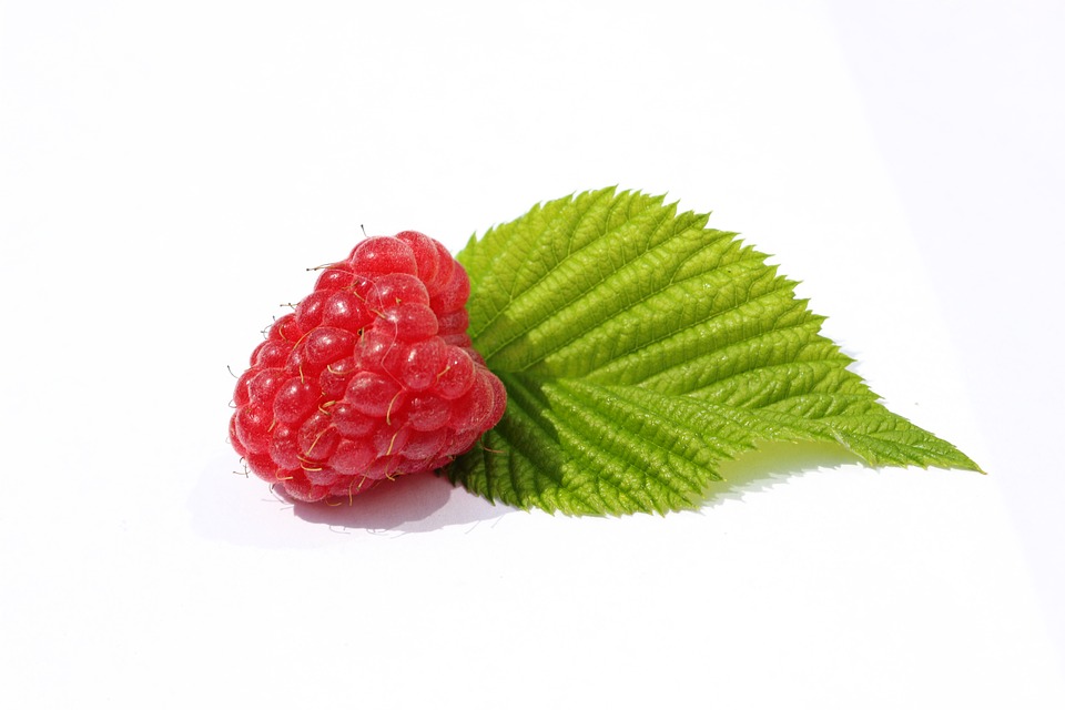 raspberry leaf