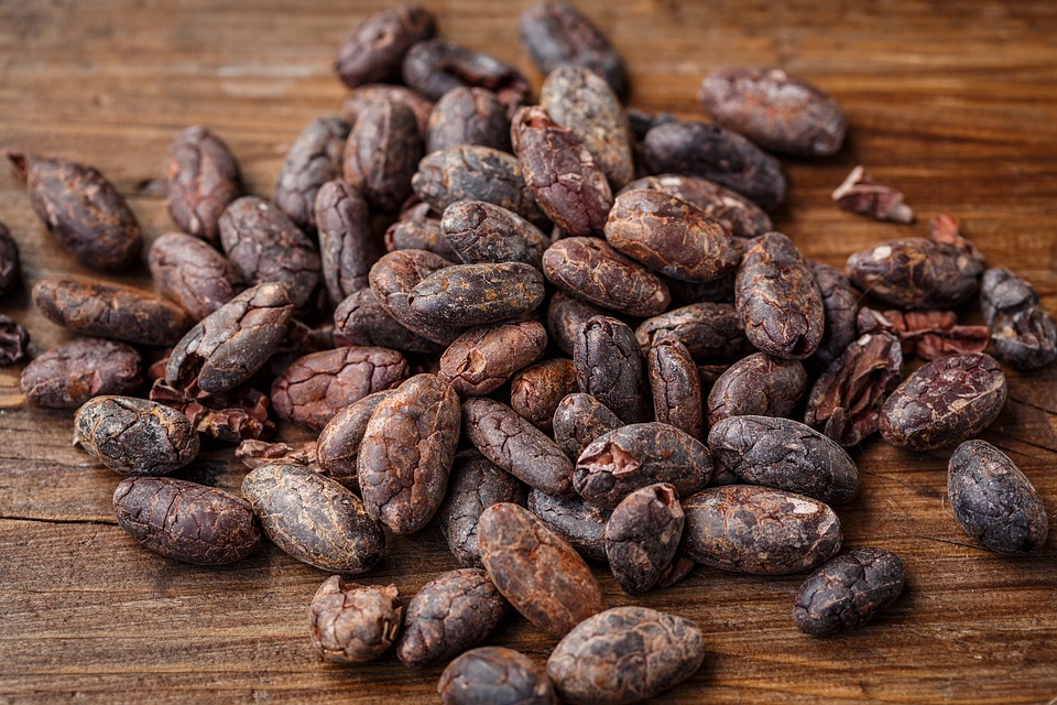 cacao nibs