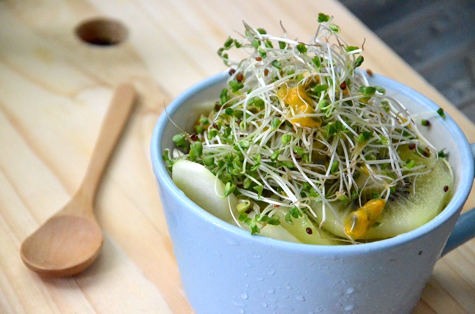 broccoli sprouts