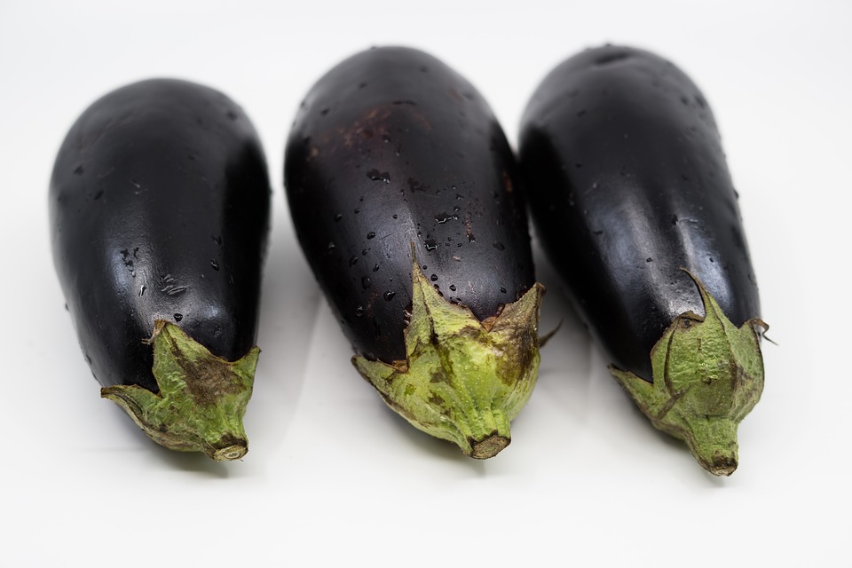 eggplant