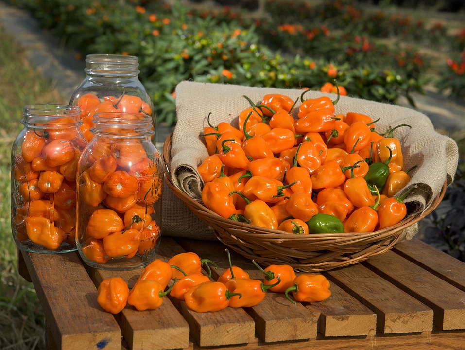 habanero