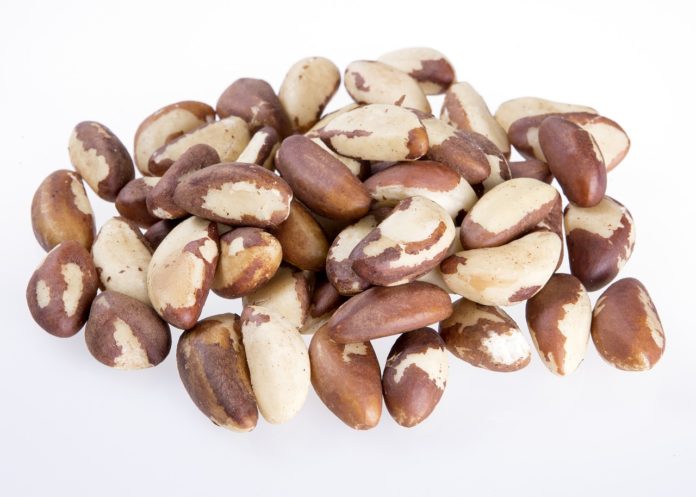 13 Benefits of Brazil Nuts