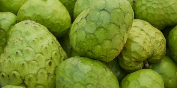 custard apple