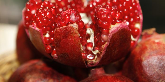 pomegranate