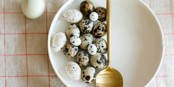 quail egg