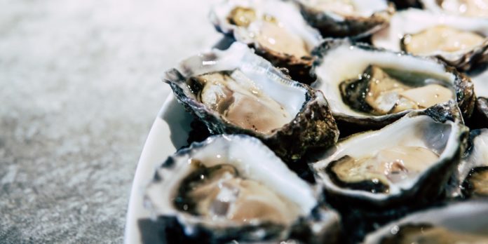 All You Need to Know About Oysters