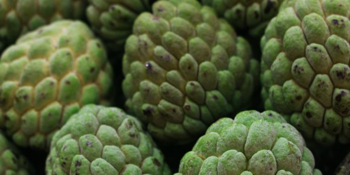 Health Benefits of Sugar Apple