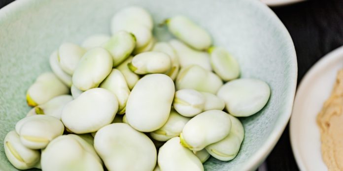 Ever Heard of Fava Beans Health Benefits?