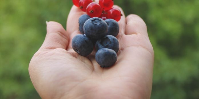 10 Health Benefits of Black Currant