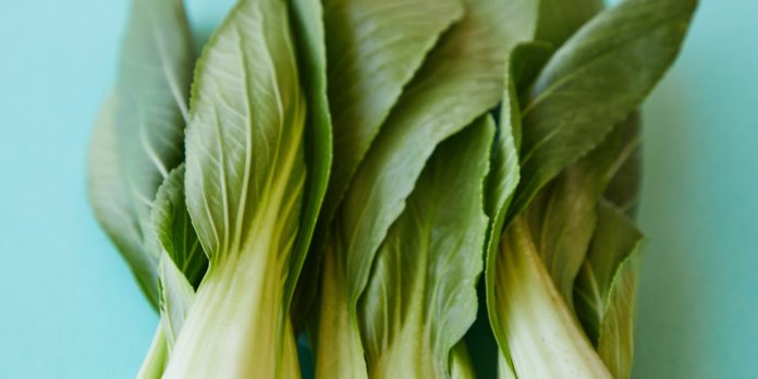 Facts and Benefits of Bok Choy