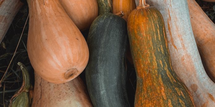 Ever Heard of Ash Gourd Health Benefits?