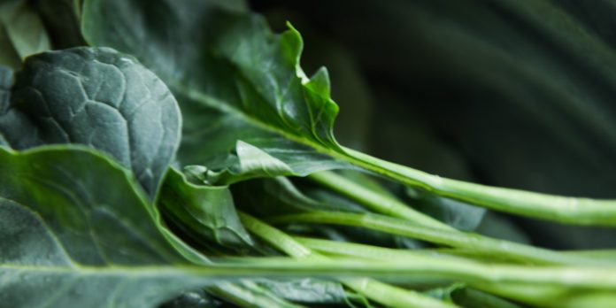 Amazing Health Benefits of Collard Green