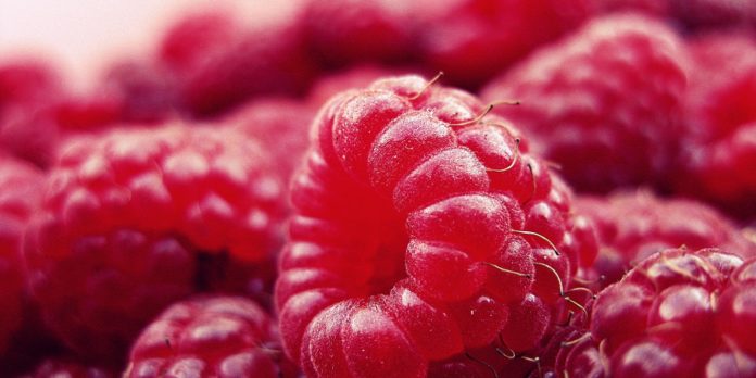 11 Health benefits of Salmonberries