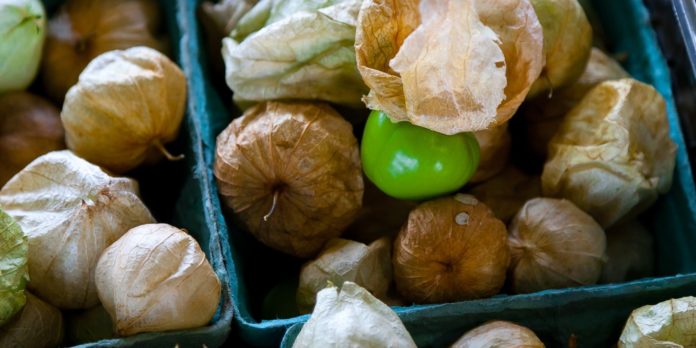 Incredible Health Benefits of Tomatillos