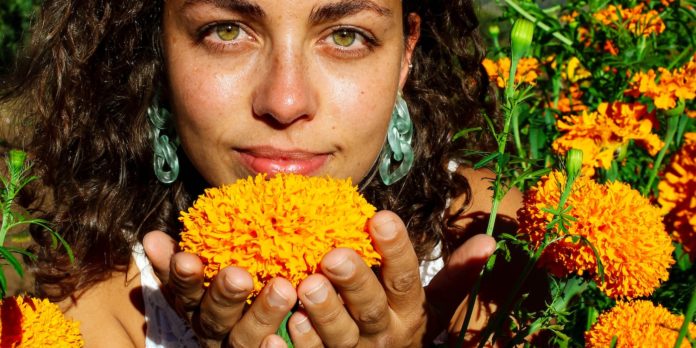 marigold health benefits